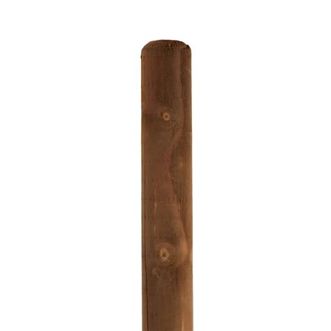 Greenes Wood Tree Stake for Tree and Plant Support .